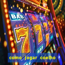 como jogar coelho da fortuna